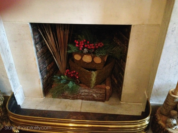 mansion animal room fireplace pic