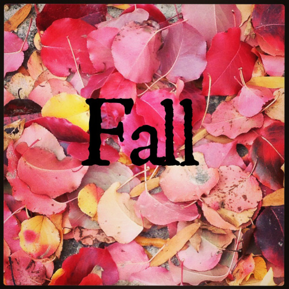 fall pic