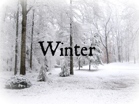 winter pic