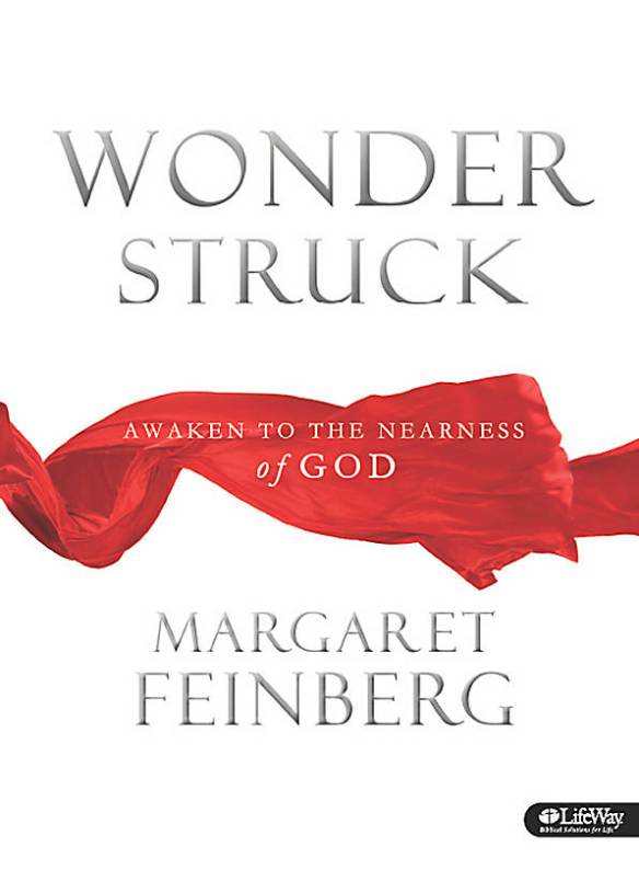 wonderstruck book