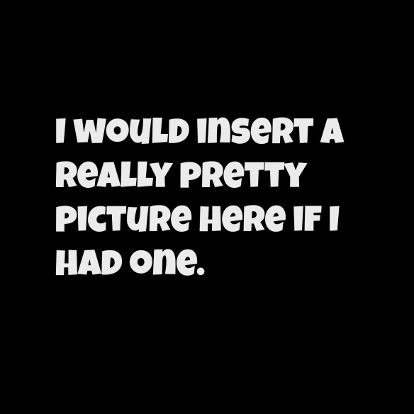 wheres the picture 1