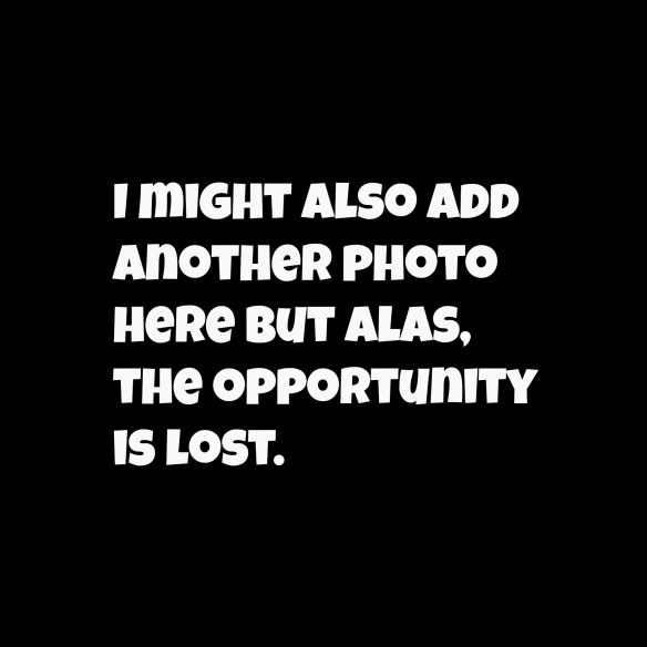 wheres the picture 2