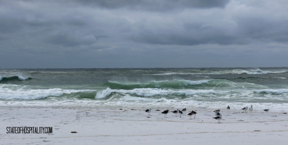 beach in the fall 2