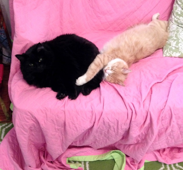 bella and sydney