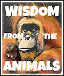 wisdom from animals button 2 copy